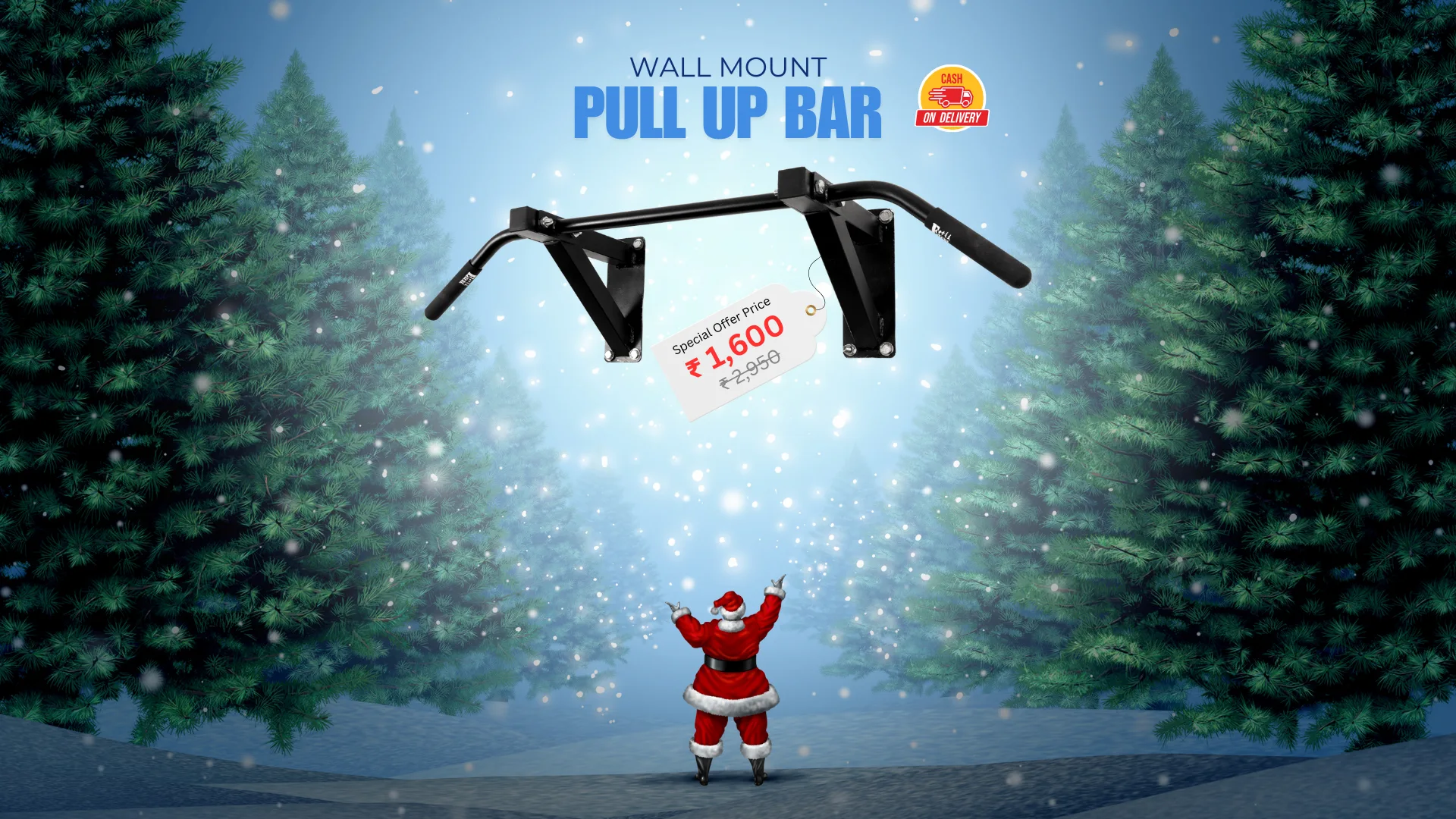 wall mount pull up bar