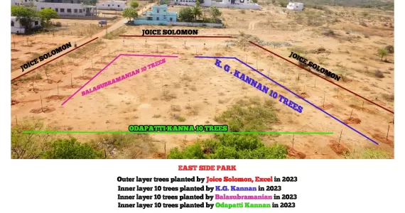 1_tree-plantation-1