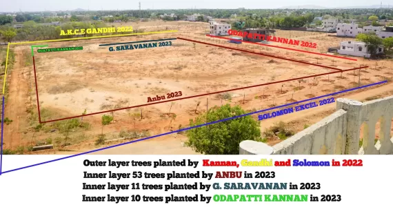 tree-plantation-1