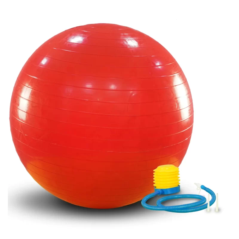 Excel Gym Ball