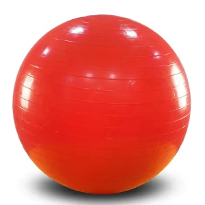 Exercise ball clearance walmart