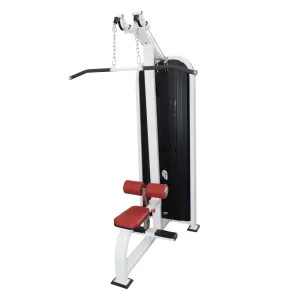 Dual Pulley Lat Pull Down
