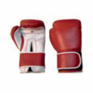 Boxing-Gloves-XL—BX—06—120Z