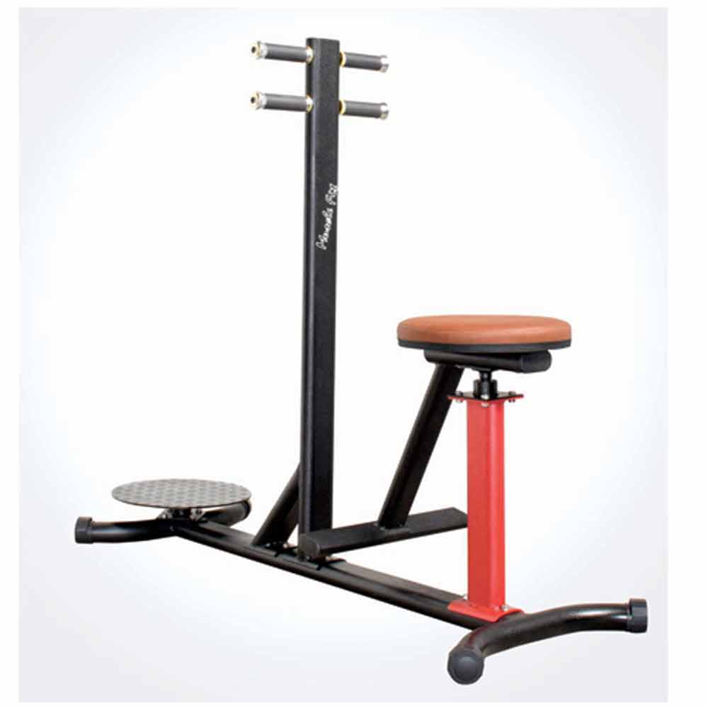 Double Twister (Sitting & Standing) - Buy Online Best Fitness & Gym