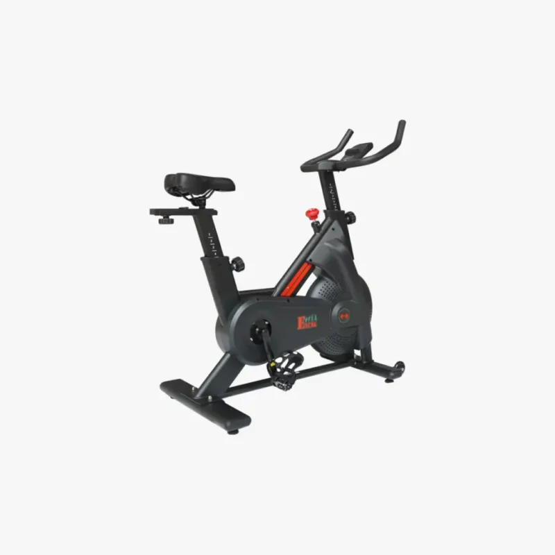 excel s250 spin bike