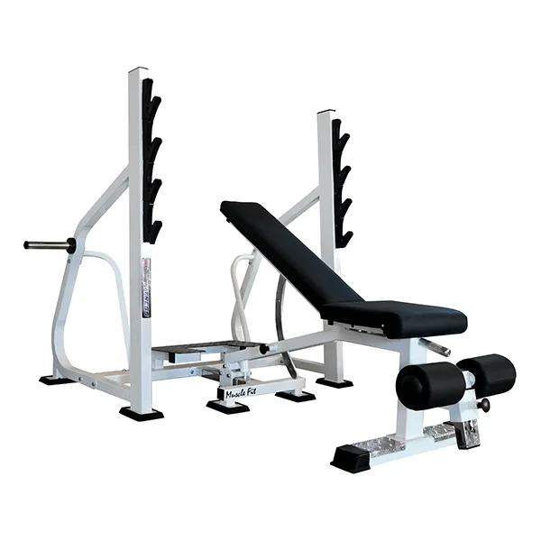 Excel Fit India - Best Fitness & Gym Equipment in India