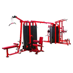 Buy Fitlaya Fitness Exercise Equipment Machine for Abs and Total Body  Workout, Home Gym Fitness Equipment for All Ages (Black) Online at Low  Prices in India 